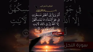سورة النحل الآية 79 