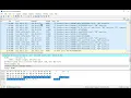 investigating network loops