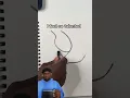 How To Draw A Tree with SuperRaedizzle