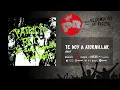 Patricio Rey y sus Redonditos de Ricota - Te voy a Atornillar (Audio Oficial)