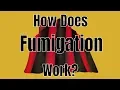How Does House Fumigation Tenting Work