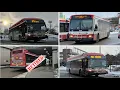 TTC Bus Action Compilation in Toronto Winter 2025 With Viva Buses