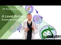 The Cell Cycle - A Level Biology