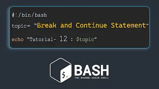 Infinite Loop Break and Continue in BASH Introduction to BASH scripting Tutorial - 12