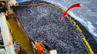 Download Kapal Yang Membuat Ikan di Laut Cepat Habis - Kapal Penangkap Ikan Modern Tercanggih MP3