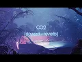 Download Lagu DJ SMASH \u0026 Artik \u0026 Asti - CO2 (slowed + reverb)
