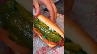 Everything We Ate In Chicago for 3 Days 🌭🍿🍜