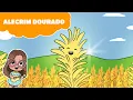 Lagu Alecrim Dourado | Canção de Ninar | Lala Kids
