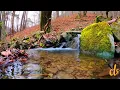 Relaxation Music. Blank & Jones  - Crosswinds