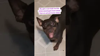 Https M Youtube Com Watch V 5TuKQ KX2e8 