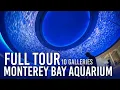 Zoo Tours Monterey Bay Aquarium FULL TOUR