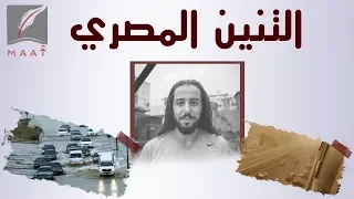 كيف روض المصريون التنين قصص الشهامة المصرية من قلب الشارع 