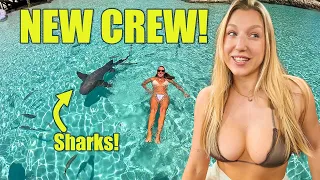 She Joined the Crew… Then We Swam with Sharks! 🦈🐷 | Sailing Bahamas