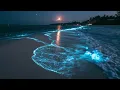 Relaxing Ocean Sounds And Glowing Ocean Waves For Deep Sleep | Peaceful Beach Ambience