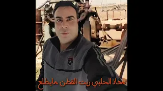 معاذ الحلبي ريت القطن مايطلع دندنها