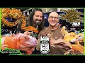 TINLEY PARK NARBC REPTILE EXPO October 2024