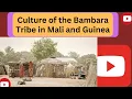 Download Lagu Discovering the Rich Culture of the Bambara Tribe in Mali and Guinea  |  @mind-ful