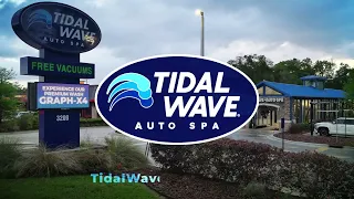 Bugs Are Destroying Your Paint Here s How to Stop It Tidal Wave Auto Spa
