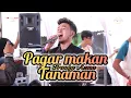 Download Lagu Pagar Makan Tanaman ( Mansyur S ) | Franky Azma Live Show