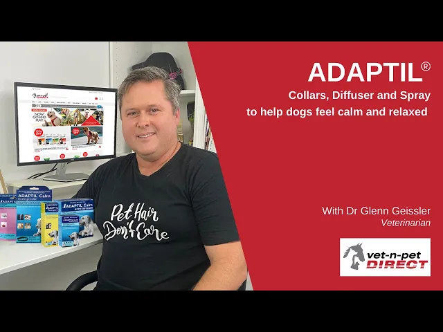 Adaptil Calm On-the-go Collar