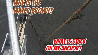 Ep8.  Why is the water brown and what is stuck on my anchor?  Crystal Bay In Focus.