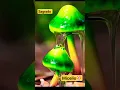Download Lagu Hongos Fantasticos 🍄 #hongos #mushroom #champiñones #shorts #foryou #micelio #viral #trending #fyp