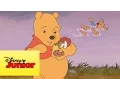 Download Lagu Mini aventuras de Winnie the Pooh - Rito va a nadar