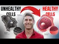 The Cellular Health Breakthrough Simple Hacks for Energy Longevity and Repair