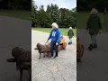 Your Pets Naturally Grand Rapids Pet Parade 2025
