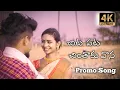 Download Lagu Chita pata Chinthaku vana folk Song 4k Promo 2020 By Sadik