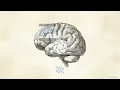 Neural Resonance How Rainfall Synchronizes Deep Sleep Cycles
