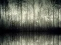 Darkthrone - Transylvanian Hunger - 04 - Slottet I Det Fjerne