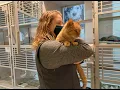 Idaho Humane Society Consider adopting a senior animal