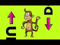 Bilingual Brain Break, Learn Spanish with BASHO & FRIENDS - Children Exercise Song