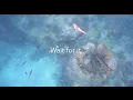 Gnarly Marlin Snorkeling Looe Key FL - Part 1