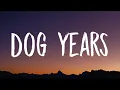 Download Lagu Halsey - Dog Years (Lyrics)