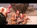 Halo Mega Bloks Construx Containment FULL stop motion Animation