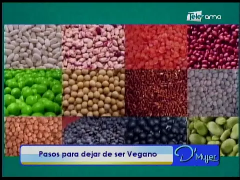 Pasos para dejar de ser Vegano