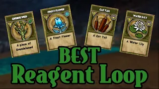 BEST Way to Get Cat in Wizard101