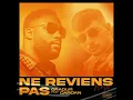 Ne reviens pas
