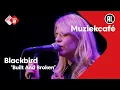 Download Lagu Blackbird - Built And Broken | NPO Radio 2