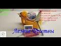 Download Lagu #бритьё №143 Может ли быть бритьё на миллион за копейки?