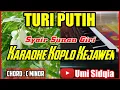 Download Lagu TURI PUTIH-KARAOKE SHOLAWAT VERSI KOPLO KEJAWEN | KARAOKE SHOLAWAT KOPLO TERBARU 2021