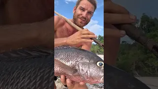 Most Incredible Survival Story 🤯