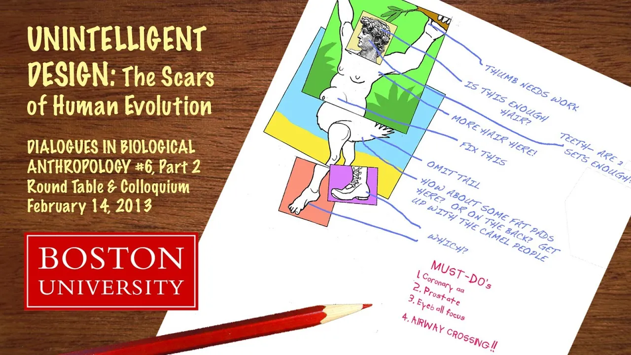 Boston University Dialogues in Biological Anthropology Number 6 – Part 2
