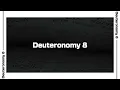 Deuteronomy 8 Bible Reading NIV