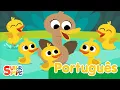 Download Lagu Cinco Patinhos | Canções Infantis | Super Simple Português