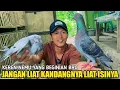 Download Lagu INI BARU JOS PILIH PILIH MERPATI DI KANDANG REOT PAK SYUKUR