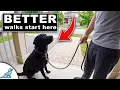 The Great Reset For Your Leash Walking Training
