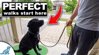 The "Great Reset" For Your Leash Walking Training